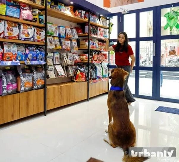 Pet Supplies